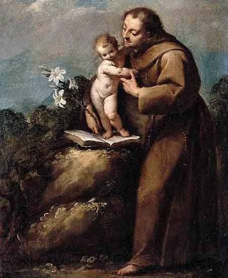 Carlo Francesco Nuvolone St Anthony of Padua and the Infant Christ Norge oil painting art